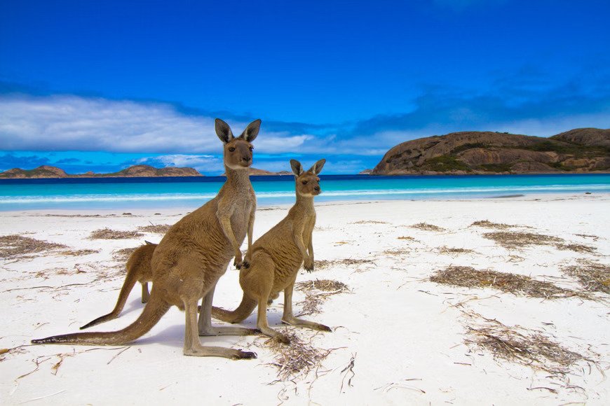 Australia & New Zealand Discovery — Sydney to Milford Sound