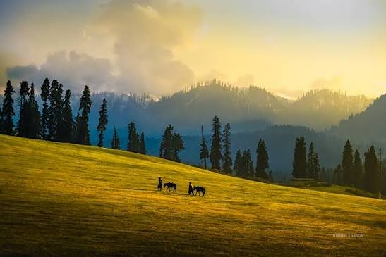 Kashmir Delight — Valleys, Meadows & Doodhpathri