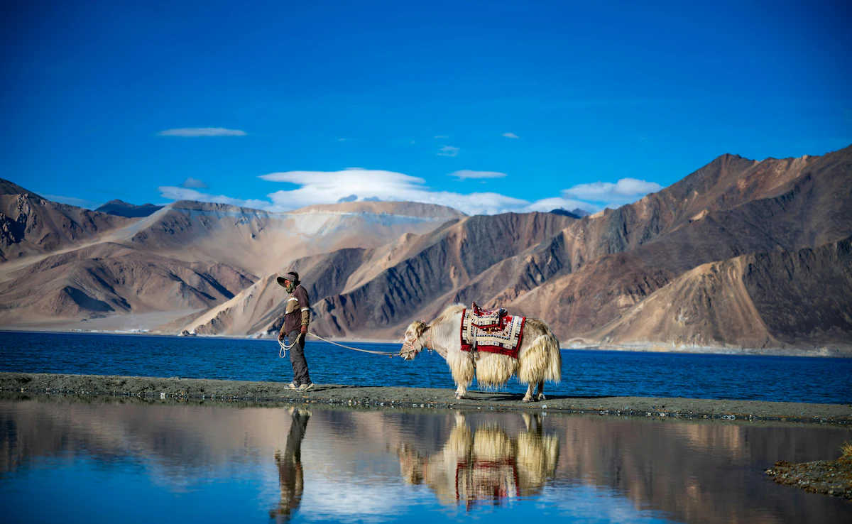 Explore Ladakh — Nubra Valley & Pangong Lake