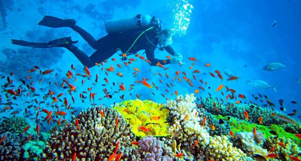 Andaman Islands — Havelock & Radhanagar Beach
