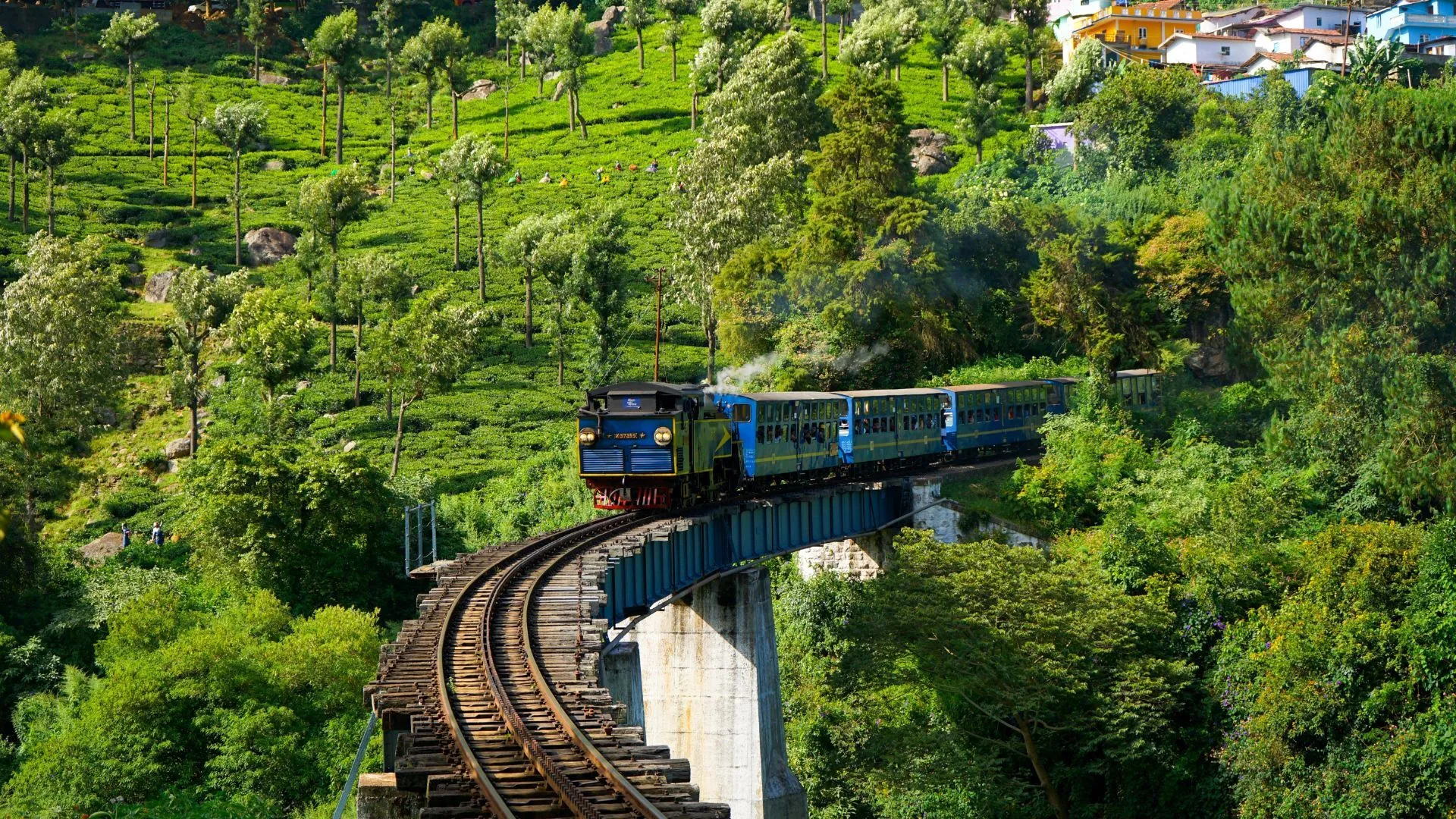 South India