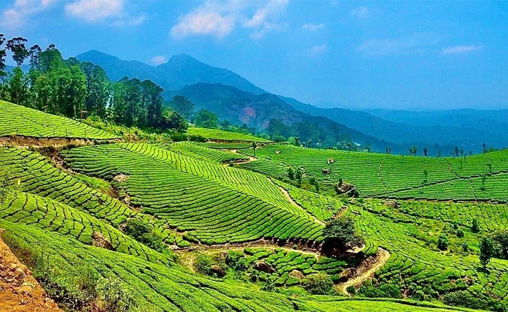 Enchanting Kerala — Munnar, Thekkady & Alleppey Houseboats