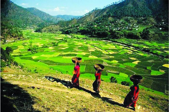 Explore Kumaon — Nainital, Mukteshwar & Kausani
