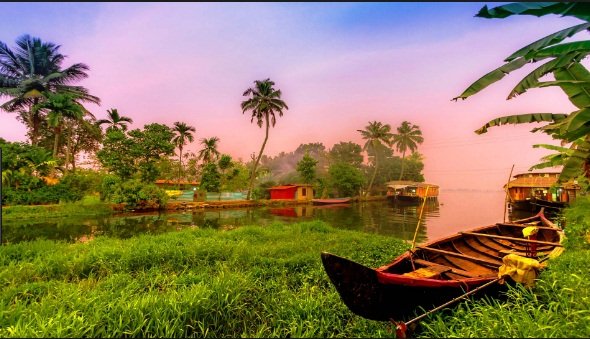 Classic Kerala — Hills, Spice Gardens & Backwater Bliss